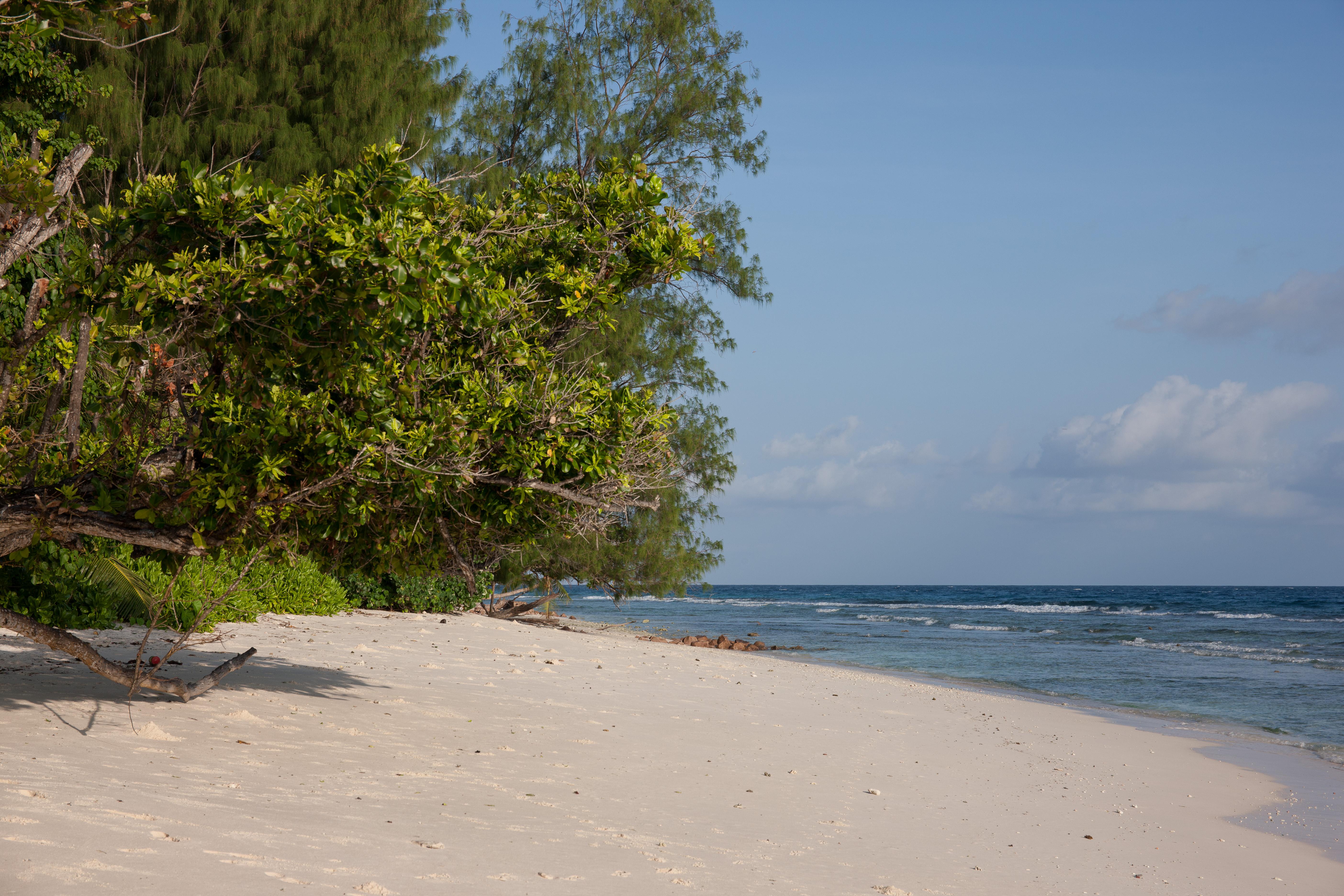 Le Relax Luxury Lodge (Adults Only) Insel Insel La Digue Exterior foto